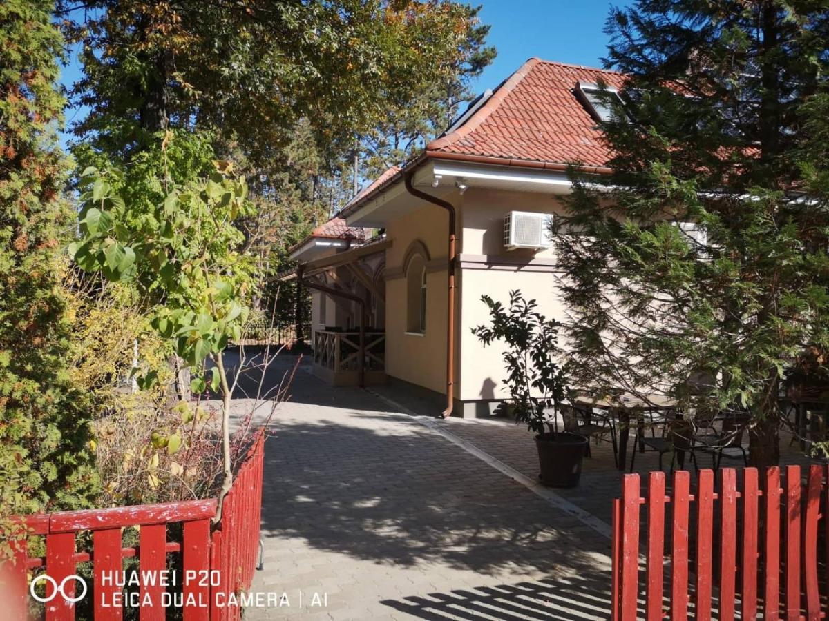 The Corner House Panzio Hotel Tata Bagian luar foto